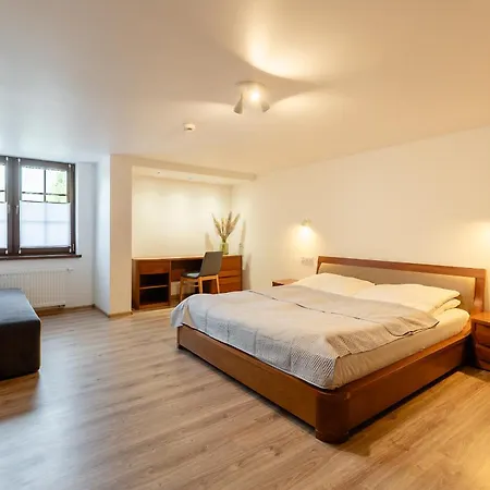 Nad Dzikim Potokiem شقة