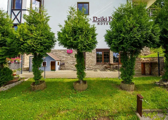 Nad Dzikim Potokiem * Karpacz